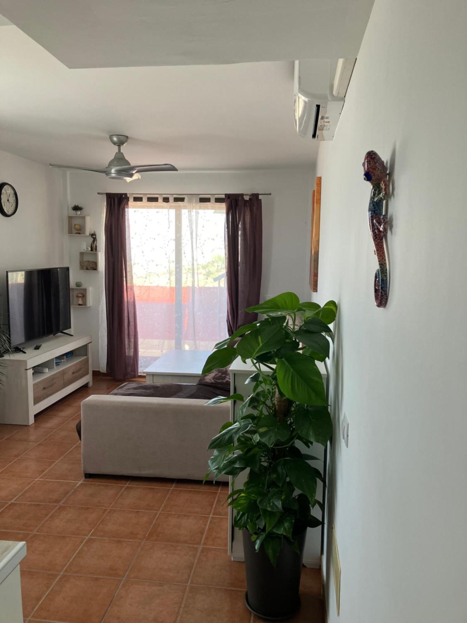 Narancsvirag Tejina de Isora Exterior foto