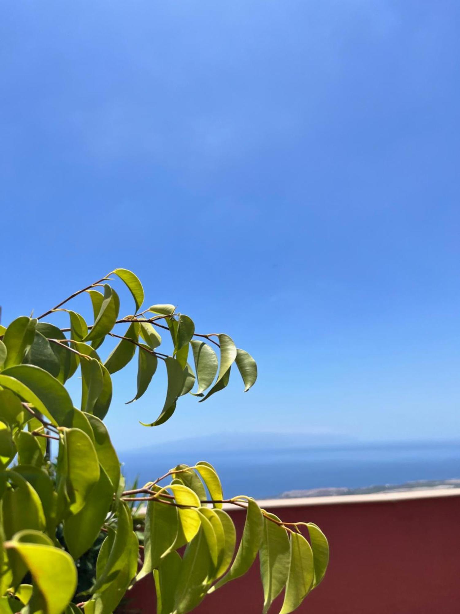 Narancsvirag Tejina de Isora Exterior foto